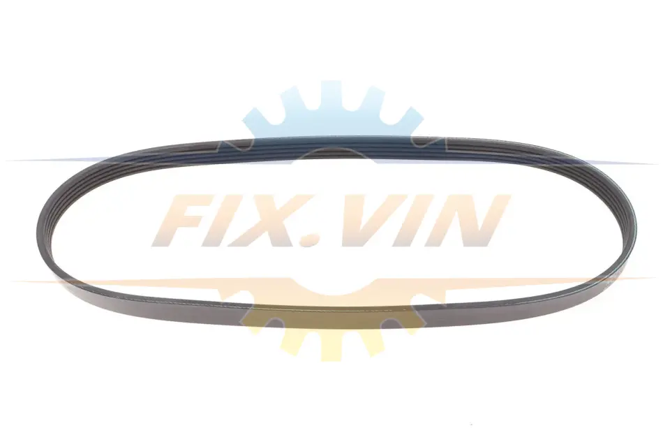 Ремінь генератора BMW 3 (E46)/5 (E39) 1.8D/2.0D 98-03 (5PK835) MEYLE 050 005 0835 (фото 1)