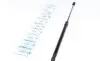 Амортизатор кришки багажника VW Polo Liftback 09- (526mm) MEYLE 140 910 0088 (фото 1)