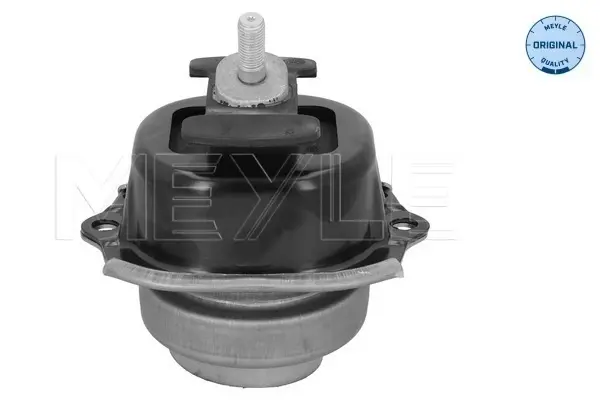 Опора двигуна BMW X5 (E70) (02/06-07/13) (вир-во) MEYLE 300 221 1200 (фото 1)