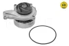 Помпа води BMW X1 (F48)/X2 (F39) 14- B38/B42/B48 MEYLE 313 220 0023/HD (фото 1)
