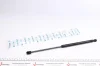 Амортизатор кришки багажника Ford Focus II 04-12 MEYLE 740 910 0029 (фото 1)