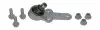 Опора шаровая FORD FOCUS I (пр-во Moog) MOOG FD-BJ-0425 (фото 1)
