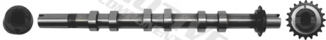 Вал розподільчий Land Rover Defender/Discovery/Range Rover 2.7/3.0D 09- (випускний) MOTIVE T6554