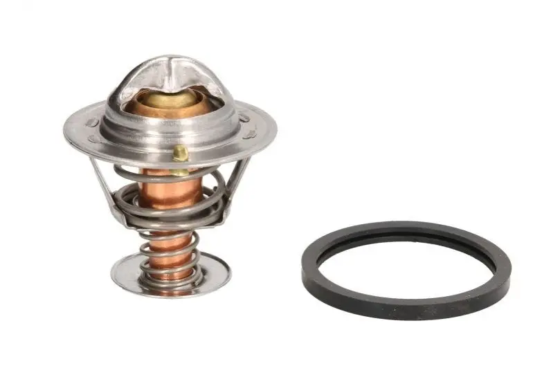 Термостат системи охолодження (82°C) FORD MAVERICK NISSAN 100NX, 200SX, ALMERA I, PICK UP, PRAIRIE PRO, PRIMERA, SERENA, SUNNY I, SUNNY II, SUNNY III, TERRANO II 1.7D/2.0/2.4 03.82-09.07 MOTORAD 21482JK (фото 1)