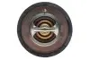 Термостат системи охолодження (91°C) FORD B-MAX, C-MAX II, ECOSPORT, FIESTA VI, FIESTA VII, FOCUS I, FOCUS III, FOCUS III/HATCHBACK, FOCUS III/KOMBI, GRAND C-MAX, MONDEO V 1.0-2.3 11.95- MOTORAD 36391K (фото 4)
