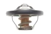 Термостат Renault Megane III/Scenic/Hyundai H-1/KIA Ceed/Rio 1.2/1.4/1.6i 97- (82C) MOTORAD 647-82K (фото 1)