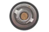 Термостат Renault Megane III/Scenic/Hyundai H-1/KIA Ceed/Rio 1.2/1.4/1.6i 97- (82C) MOTORAD 647-82K (фото 3)