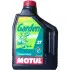Олива моторна Garden 2T 2л MOTUL 308902 / 100046 (фото 1)