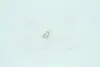 Лампа розжарювання W1,2w 12v 1,2w W2x4,6d (вир-во Narva) NARVA 17037CP (фото 2)