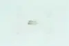 Лампа розжарювання W21/5w 12v 21/5w W3x16q (вир-во Narva) NARVA 17919CP (фото 3)
