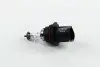 Лампа розжарювання HB5 12V 65/55W PX29t HALOGEN (вир-во Narva) NARVA 48007C1 (фото 1)