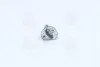 Лампа розжарювання H1 12V 55W P14.5s (вир-во Narva) NARVA 48320C1 (фото 2)