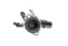 Термостат OPEL Zafira 1.9D 2005-2012 NRF 725241 (фото 6)