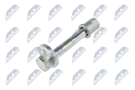 Болт ексцентриковий NTY ZWT-CH-056S