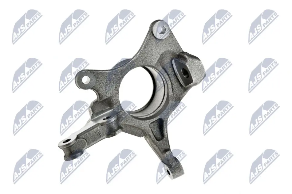 Цапфа перед. ліва DACIA DUSTER 1.2-1.6LPG 04.10- NTY ZZP-RE-026 (фото 1)