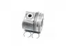 Поршень з кільцями RENAULT 87.5 2.2DCI G9T (вир-во Nural) NURAL 87-127407-10 (фото 1)