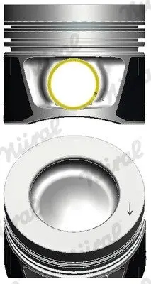 Поршень з кільцями VAG 81,01 2,0TDI 16V CAGA,CAGB,CAGC,CAHA,CAHB,CBAA,CBAB,CBBB,CBDA (вир-во Nural) NURAL 87-432300-00 (фото 1)
