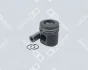 Поршень (діаметр 102мм) DEUTZ FAHR AGROSTAR / AGROSTAR DX, DX, INTRAC BF4L913-F6L913 OE Germany 040320913001 (фото 1)