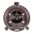 Лампочка H4 Truckstar Pro NextGen (картон, 1 шт, 24В, 75/70Вт, тип гнізда: P43T) OSRAM 64196TSP (фото 4)