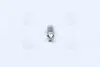 ЛАМПА 12V 10W SV8.5-8 FS STANDARD (31 мм) OSRAM 6438 (фото 4)