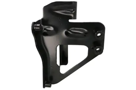 Елементи капота PACOL DAFFB042R