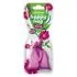 Ароматизатор Happy Bag Flora,блістер (5шт/50) PALOMA 78028 (фото 1)