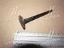 Клапан-INT HYUNDAI D4EA/D4EB (вир-во PMC-ESSENCE) PARTS-MALL HCZA-021 (фото 2)