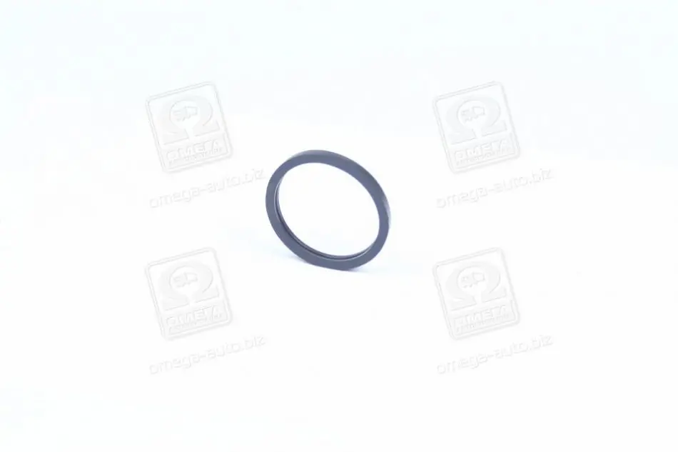 Прокладка термостата DAEWOO/CHEVROLET AVEO 1,5 8V (вир-во) PARTS-MALL P1E-C003 (фото 1)
