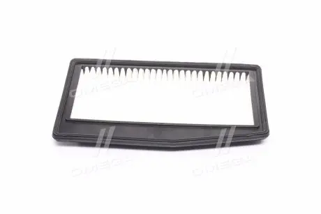 Фильтр воздушный Ravon R2 (пр-во) PARTS-MALL PAC-053