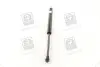 Амортизатор багажника CHEVROLET TACUMA; REZZO (U100) (вир-во) PARTS-MALL PQC-211 (фото 4)