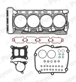 Автодеталь Payen CH8110