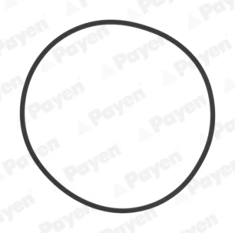 Комплект прокладок двигуна Payen HL5383