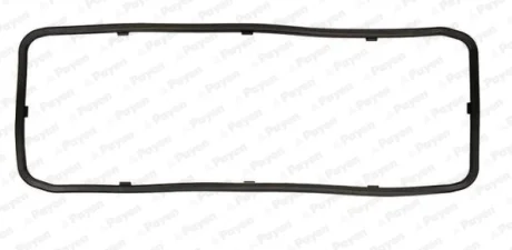 Прокладкa Payen JH5176
