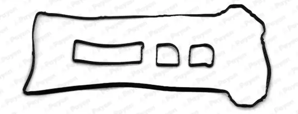Прокладки клапанной крышки (компл.) PLASTIC FORD 1.8/2.0 CSDA/CSDB/AODA/AODB/N4JB (пр-во PAYEN) Payen JM5153 (фото 1)
