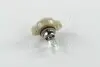 Лампа розжарювання PSX24W 12V 24W PG20/7 HIPERVISION (вир-во Philips) PHILIPS 12276C1 (фото 4)
