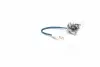 Лампа розжарювання H3 12V 55W PK22s LongerLife Ecovision (вир-во Philips) PHILIPS 12336LLECOC1 (фото 3)