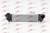 Радіатор інтеркулера POLCAR/SRL 4171J8A2 (фото 1)