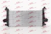 Радіатори повітря (Інтеркулери) POLCAR/SRL 5520J8-2 (фото 1)