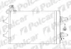 Радіатори кондиціонера POLCAR/SRL 6913K8C1 (фото 1)