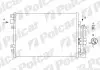 Радіатор кондиціонера POLCAR/SRL 6061K8C1 (фото 1)