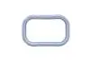 Прокладка колектора впускного Citroen Jumper/Peugeot Boxer 2.2HDI 06- PSA 0348T1 (фото 1)