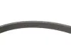 Комплект ременя генератора Citroen Jumpy/Peugeot Expert 2.0 BlueHDi 16- PSA 1687977080 (фото 9)