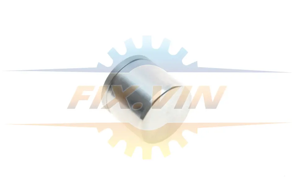 Поршень супорта (переднього) Hyundai Accent/Chevrolet Aveo/Daewoo Nubira 97- (54x49mm) (Mando) QUICK BRAKE 185084K (фото 1)