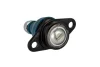 Шарова опора передня (нижн.перед) BMW X3 (E83) 03-11 (Конус 16,5мм) RAISO RL-438623B (фото 1)
