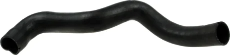 Патрубок інтеркулера Fiat Doblo 1.9JTD 01- RAPRO R11667