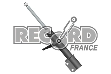 Амортизатор RECORD 103834
