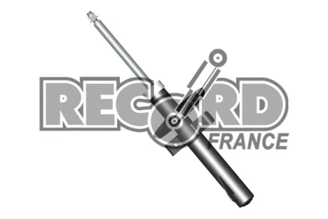 Амортизатор RECORD 104588