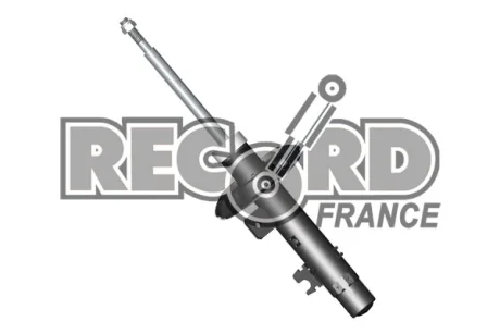 Амортизатор RECORD 104802