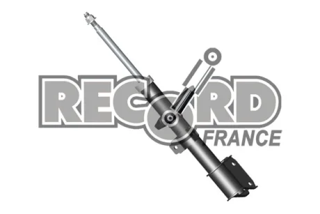 Амортизатор RECORD 334702