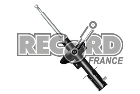 Амортизатор RECORD 334794